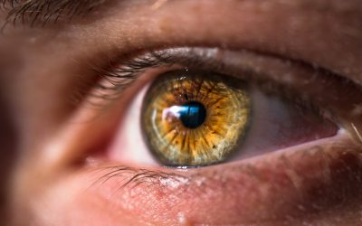 Trockenes Auge erkennen und welche Tests es gibt