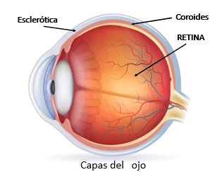 Día mundial de la retina: cuidar hoy la visión del mañana