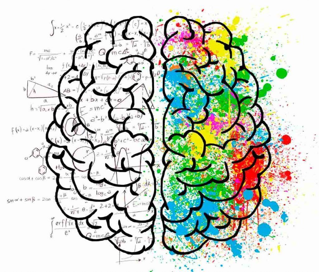processus cognitifs et vision