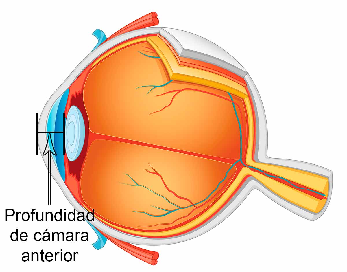 Segmento Anterior Do Olho Olho Ilustra es Anatomia Normal